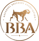 Boerboel Breeders Association